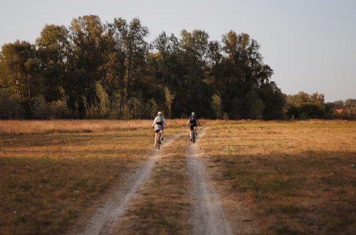 A couple of people that are standing in the grass
